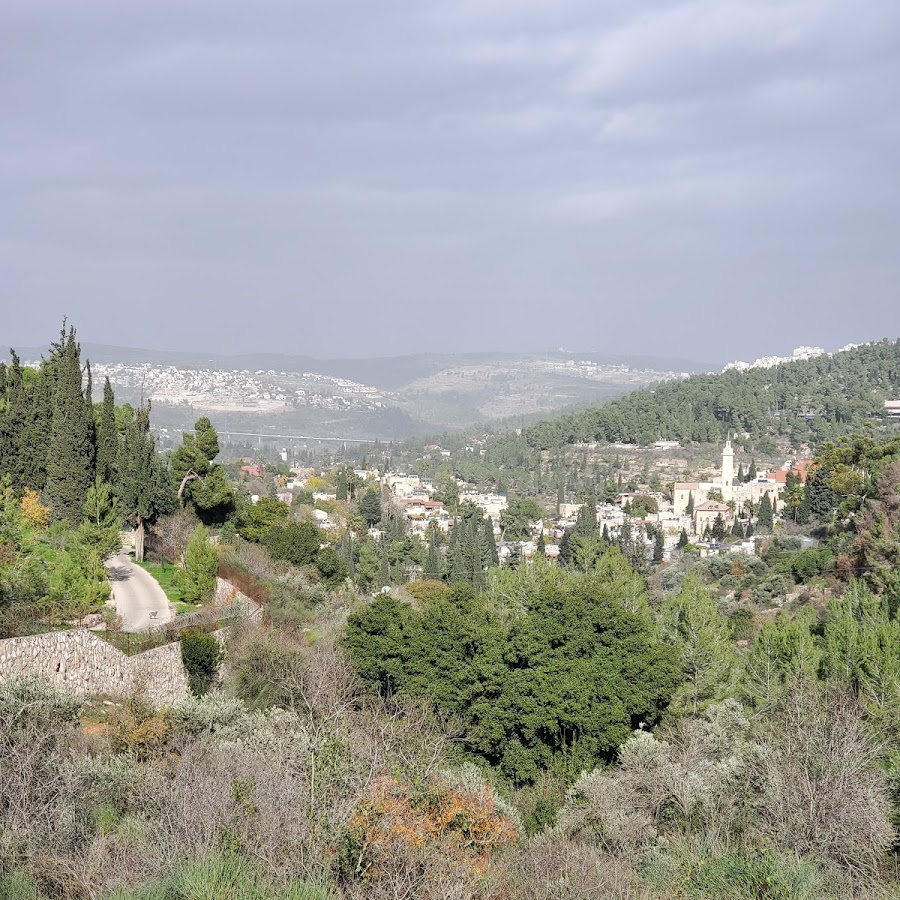 כירופטרקטיה בעין כרם